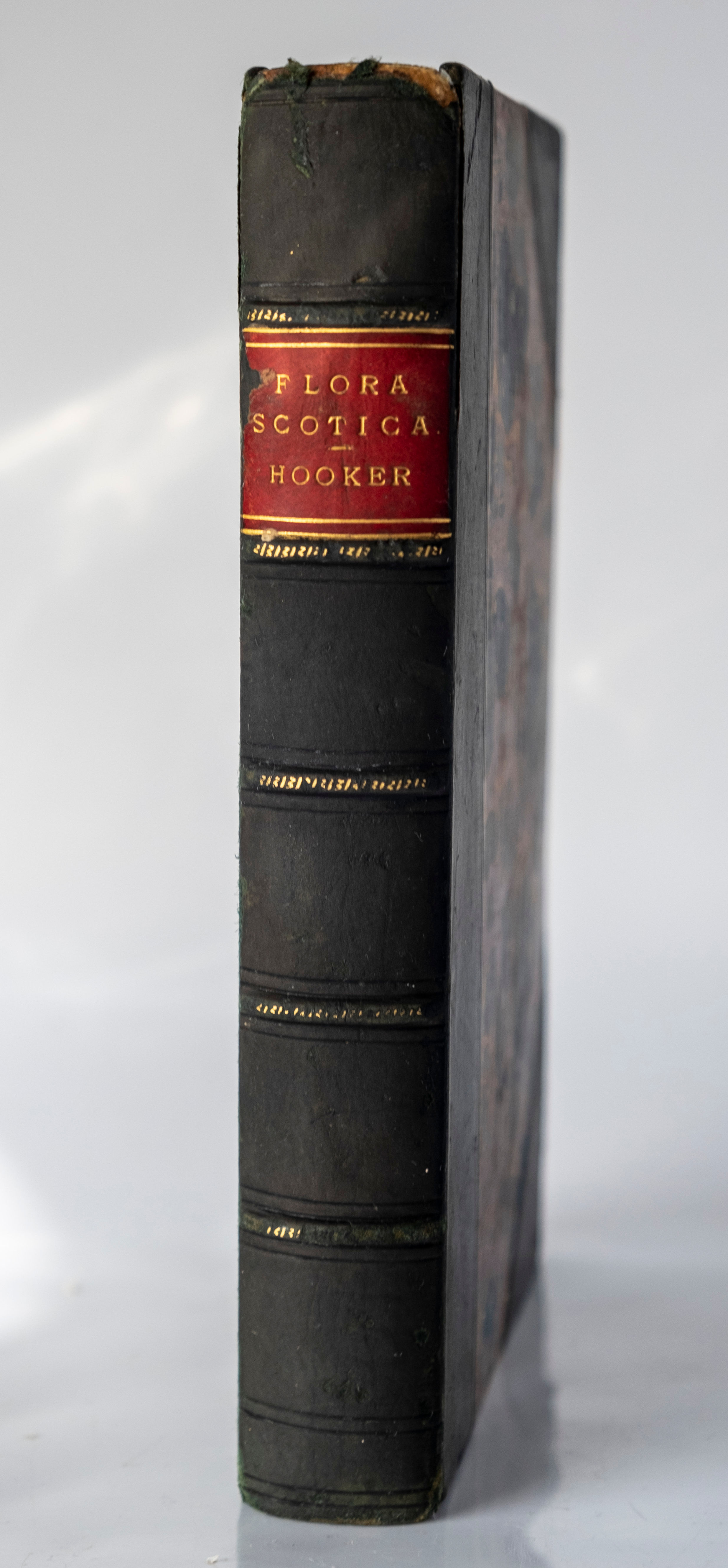 Flora Scotica or Description of Scottish Plants - Arranged both according to the artificial and natural methods in two parts