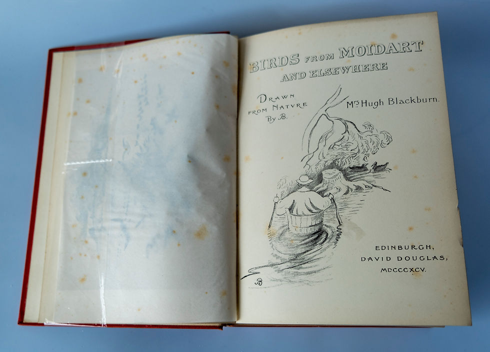 Thumbnail: Birds from Moidart - Title page image