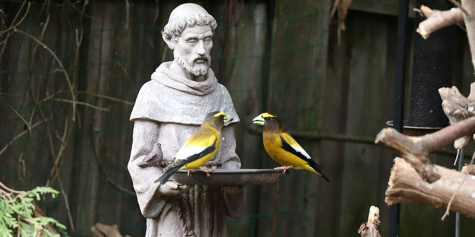Statue of St Francis of Assisi
