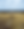 dan-senior-1bpjp4LuLSc-unsplash.png