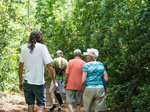 a group walking along a path