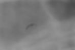 IMG_5436.jpeg
