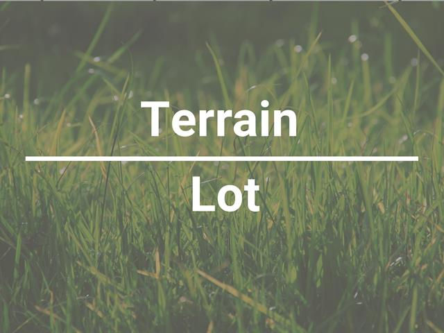 terrain.jpeg