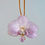 Thumbnail: REAL ORCHID NECKLACE