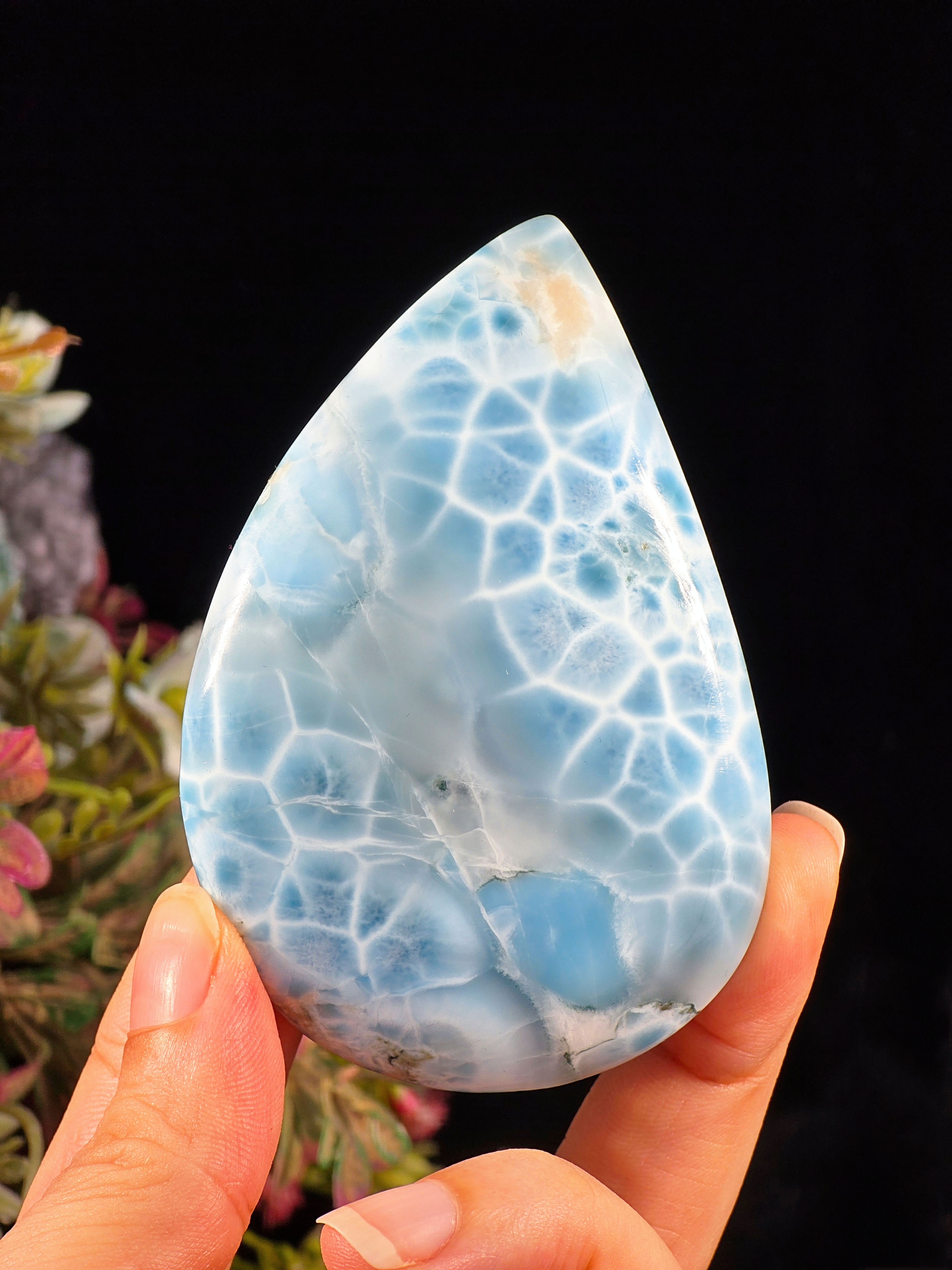 83G PREMIUM LARIMAR PALMSTONE CABOCHON