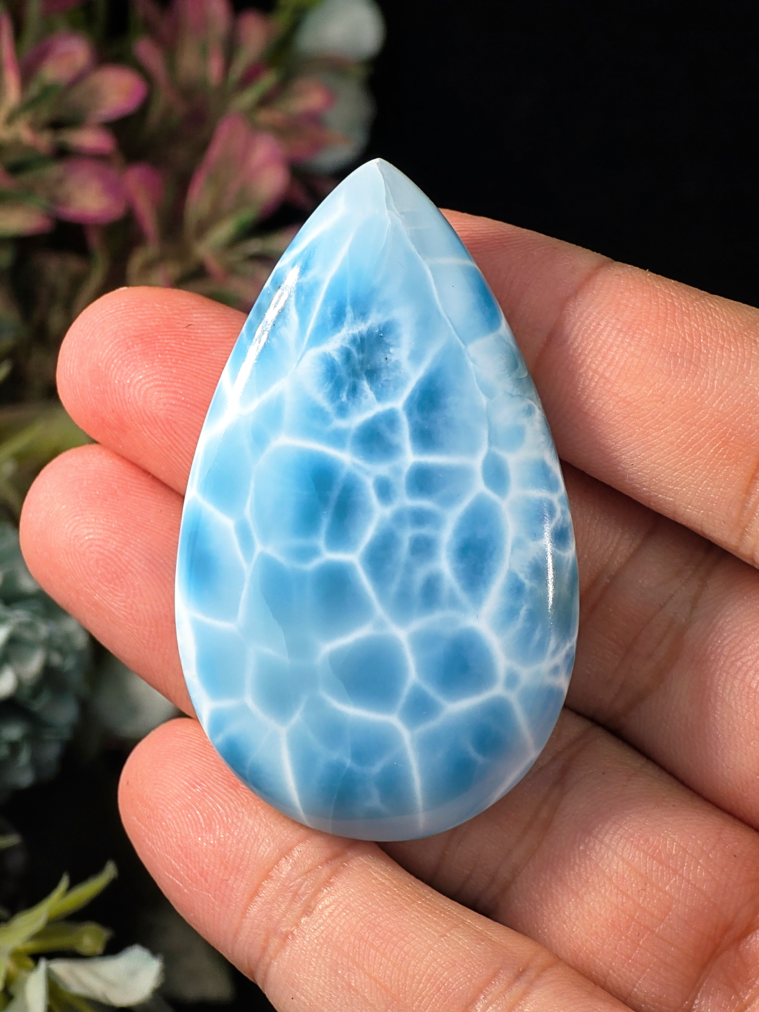 26G PREMIUM LARIMAR CABOCHON PALM STONE