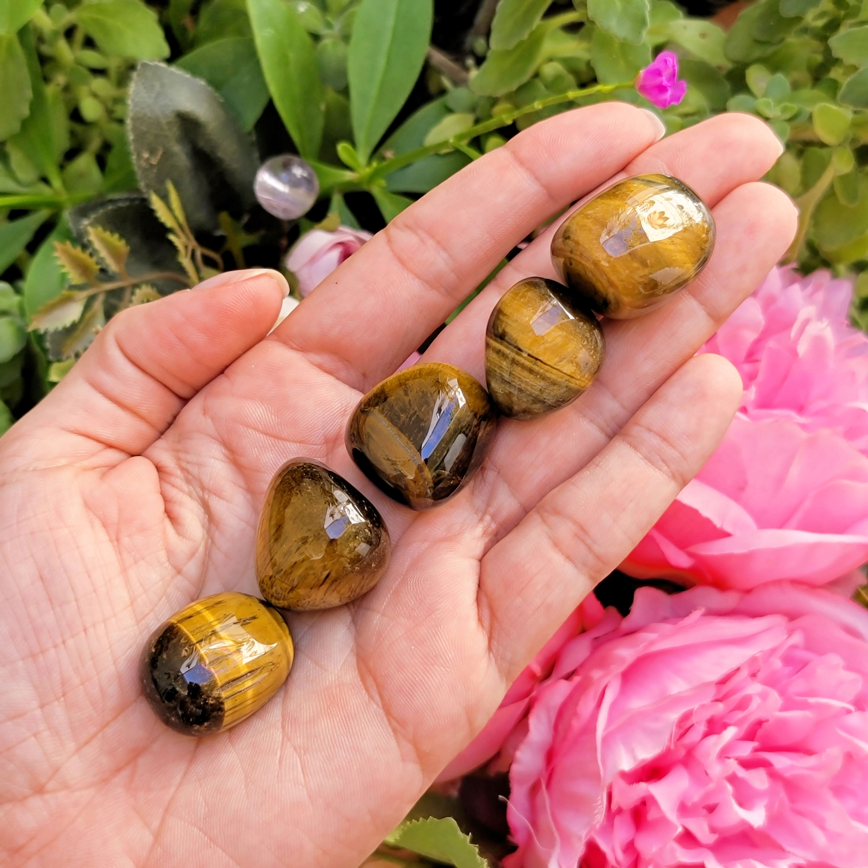 TUMBLED GOLD TIGER EYE