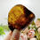 Thumbnail: GENUINE AMBER PALM STONE