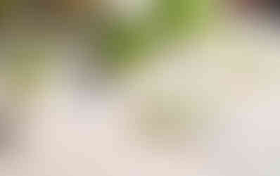 עיצוב שולחן לחג עם תפוחים בגוון ירוק