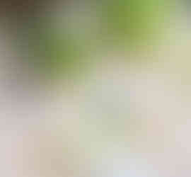 עיצוב שולחן ירוק עם כלי אוכל מזהב