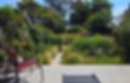 Wild High Garden in Summer
