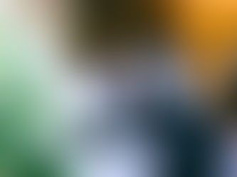 Devis Enterrement : Pourquoi Consulter Plusieurs Funérariums ?