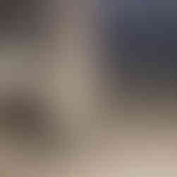 Betonrot VOOR transformatie