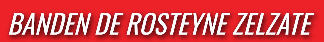 Bandencentrale De Rosteyne