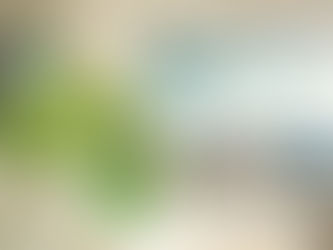 3 façons de créer un environnement de travail plus écologique grâce à la végétalisation