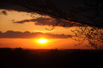 PAYSAGE & NATURE réf : 003