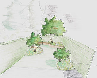 Croquis Walgreen