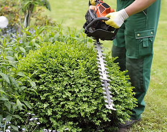 entretien de jardin