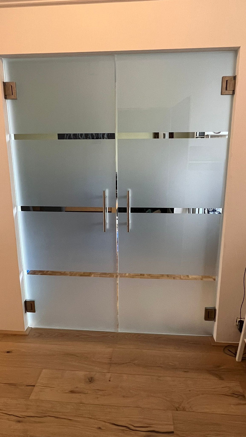 Pishoudt Vitrerie porte en verre