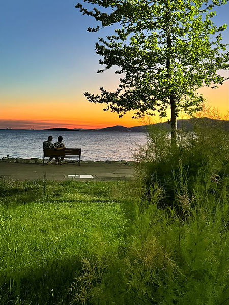 Yenişakran, Turquie