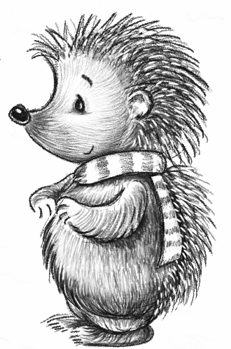 Hedgehog illustration