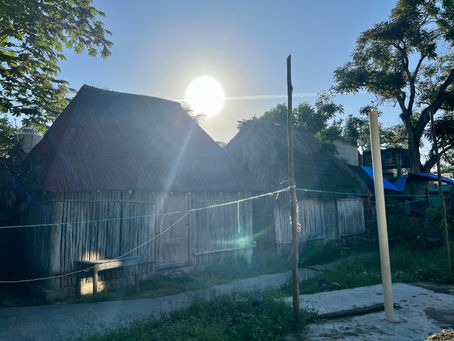 Tulum origins walking experience 