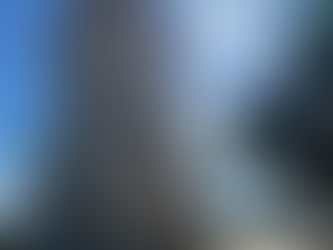 Happy migratory bird day 🦩❤️