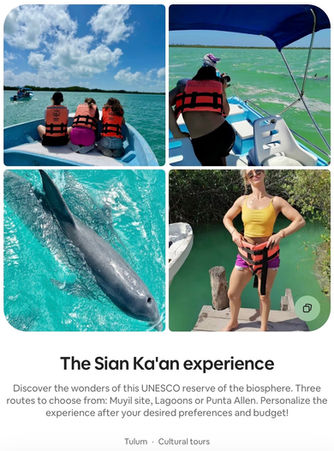 Solo Couples Family Friendly Groups Friends Girls Women Travel Traveling Mayan Mayas Maya Culture Rural Eco tourism Birdwatching Birding Photo Safari Flora Fauna Wildlife Sightseeing Cenote Cenotes Ruins Adventure Nature Culture Cultural Educational Academic Food Culinary Gastronomy Gastronomic Cuisine Local Native Regional Exclusive Luxury Authentic Unique Crafted Tailored Personalised Private Best Top Tours Guide Experiences Excursions Day trip "tours in Tulum" "experiences in Tulum" "excursions in Tulum" Tulum Mexico "MexicoTravellingCollective"