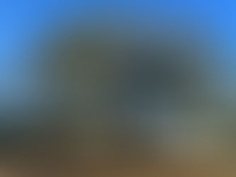 Little hands in action!