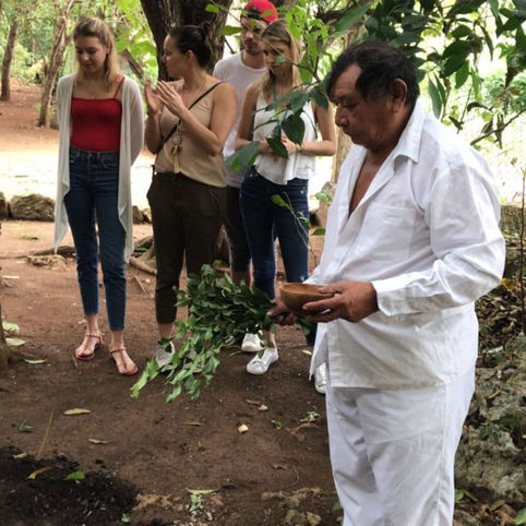 Solo Couples Family Friendly Groups Friends Girls Women Travel Traveling Mayan Mayas Maya Culture Rural Eco tourism Birdwatching Birding Photo Safari Flora Fauna Wildlife Sightseeing Cenote Cenotes Ruins Adventure Nature Culture Cultural Educational Academic Food Culinary Gastronomy Gastronomic Cuisine Local Native Regional Exclusive Luxury Authentic Unique Crafted Tailored Personalised Private Best Top Tours Guide Experiences Excursions Day trip "tours in Tulum" "experiences in Tulum" "excursions in Tulum" Tulum Mexico "MexicoTravellingCollective"