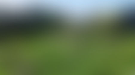 Pensamiento, conciencia y organización: luz de la materia