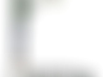 IV. GRANO COLOMBIANO