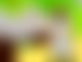 Conversación con indígena Wiwa en la Cumbre mundial de Premios Nobel de Paz.