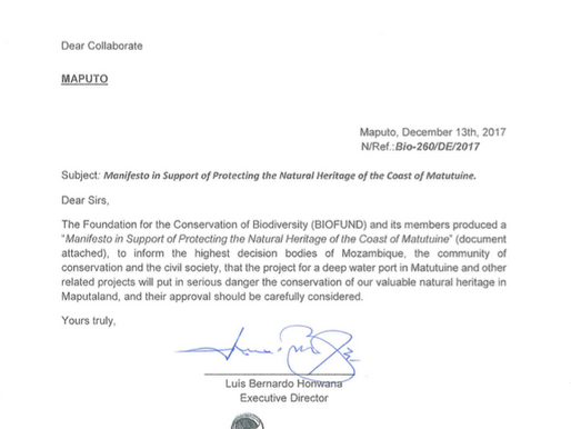 Biofund Mozambique tackles the Techobanine Port Development.