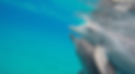 110122 0600 021 DCA.png