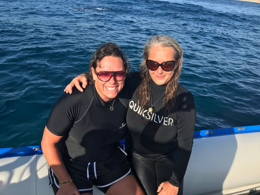 THE EXPERIENCE OF A LIFETIME, MY JOURNEY WITH THE DOLPHINS OF PONTA