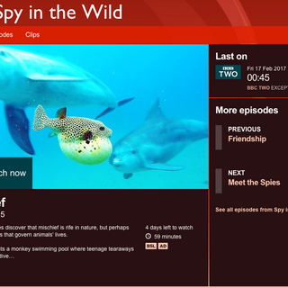 SPY IN THE WILD.png