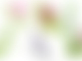 Die Kunst der Natur – Christian Clerc und die Aquarelle von Chrütlisenn