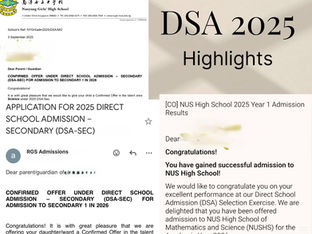 DSA 2025 successes
