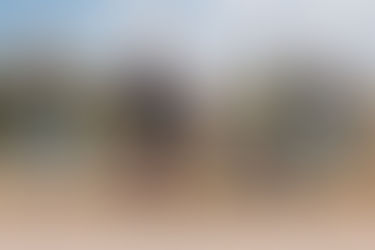 Make Your Voice Heard: Power Seat Elevations Medicare Coverage Under Review