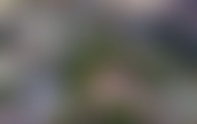 Rehab Medical Acquires Priority Medical, Expanding its Southeastern Footprint