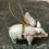 Thumbnail: If Pigs Could Fly Box