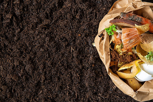 foodscraps_sm_241885605.jpeg