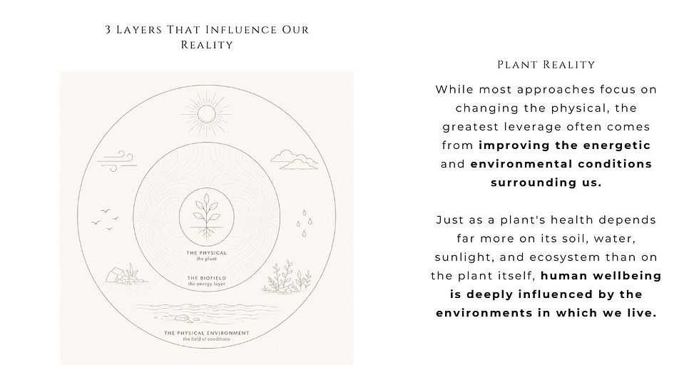 PlantReality_5.jpg