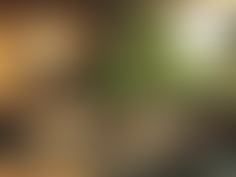 The Benefits of Sustainable Interior Design: Eco-Friendly Tips for Your Home