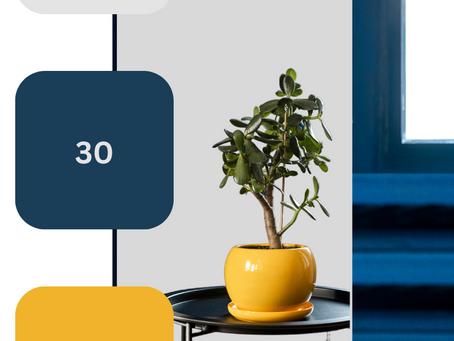 Step-by-Step Guide to Flawless Home Color Optimization