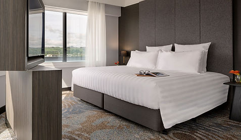 Rooms-_-Suites-Banner-11.jpg