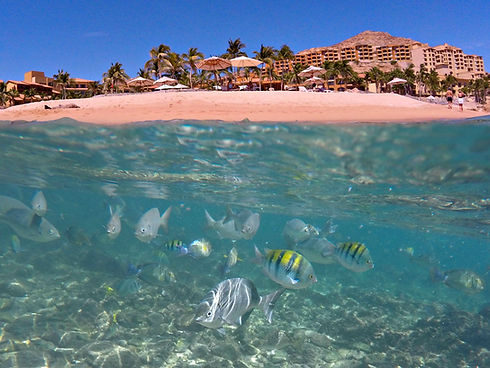 Hi_FLC_74990391_150116FALC_SNORKEL_2.jpg