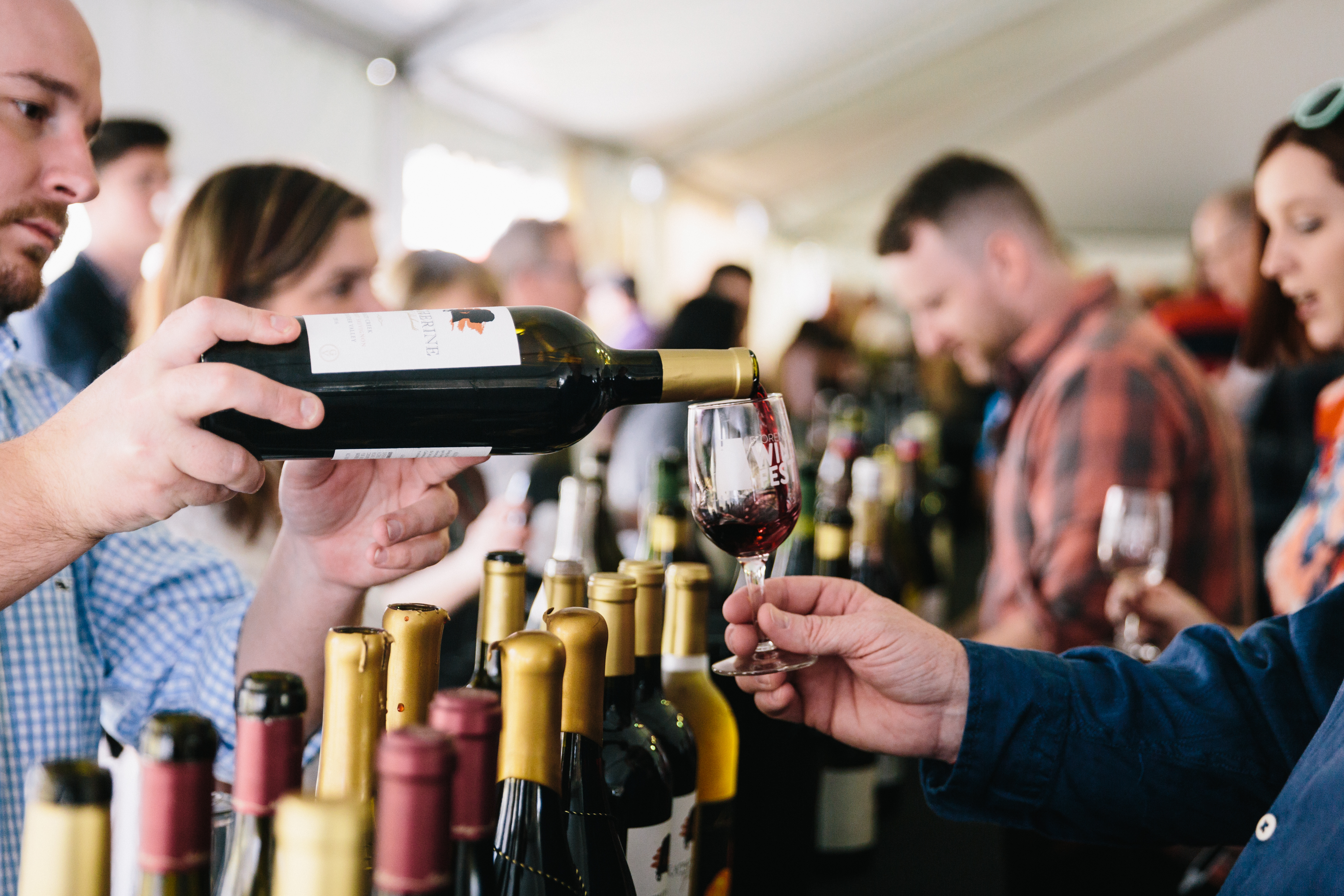 последний wine. последний wine. Wine программа. Wine программа. Wizard henri jayer.