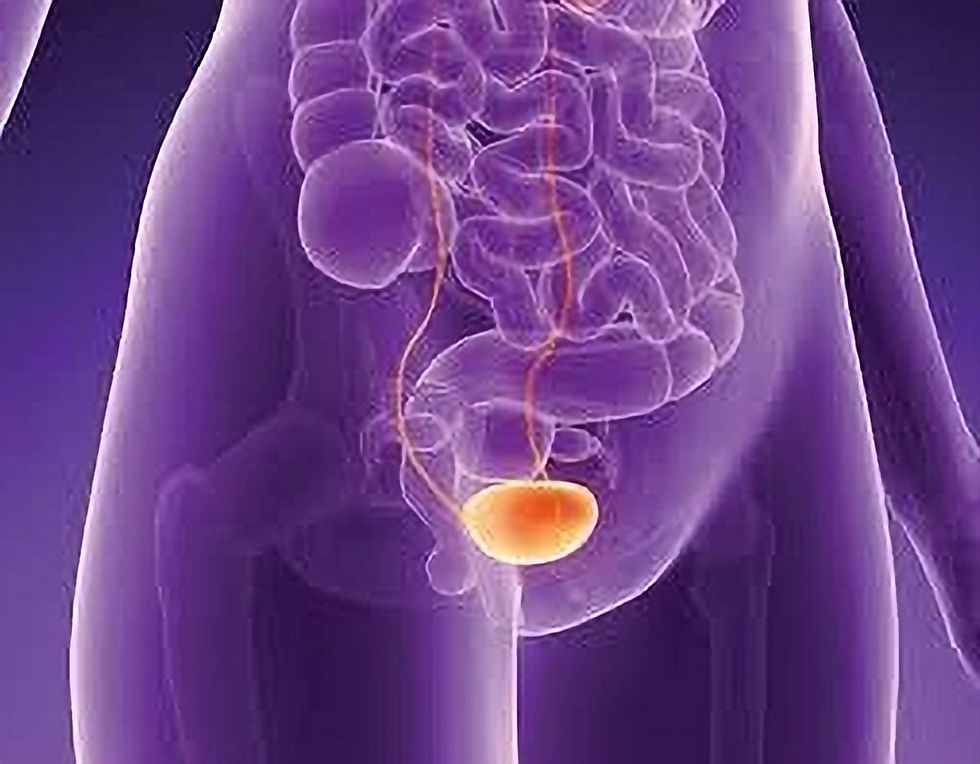 Urogynaecology